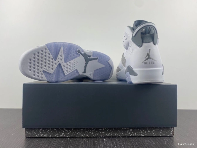 Grey Cool Jordan Air 6 CT8529-100 1213